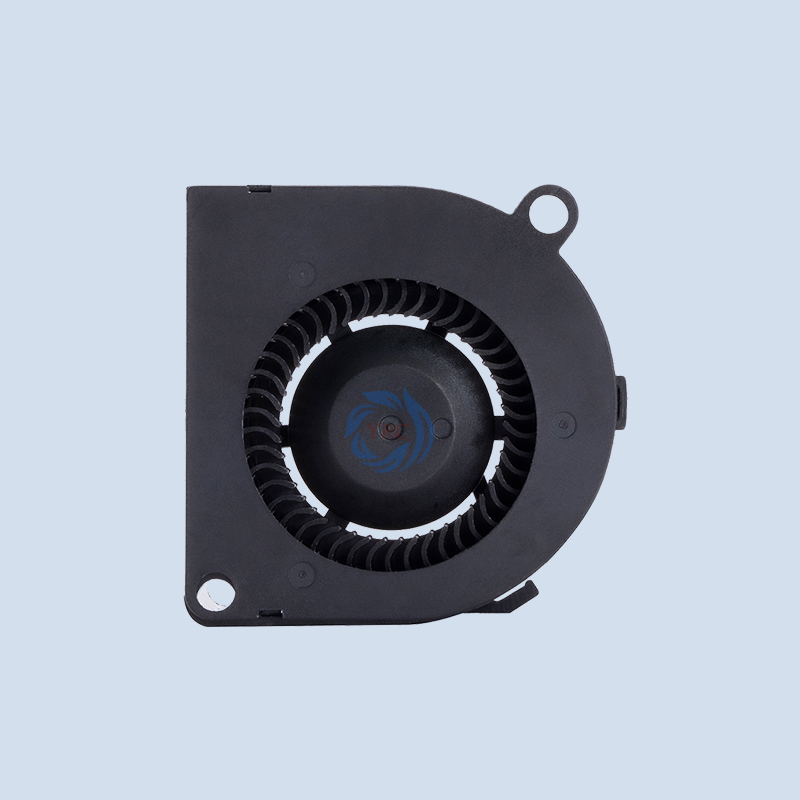 5020鼓风机-宽口